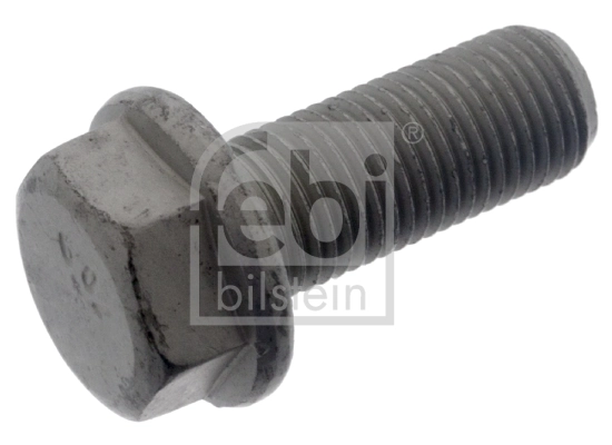 Bolt, brake caliper